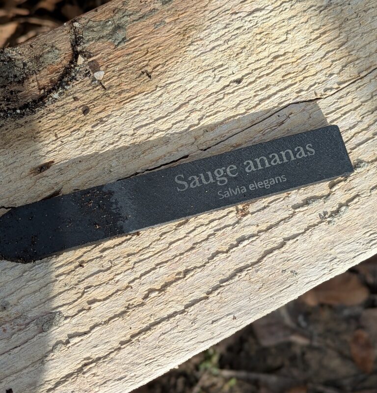 Etiquette en ardoise