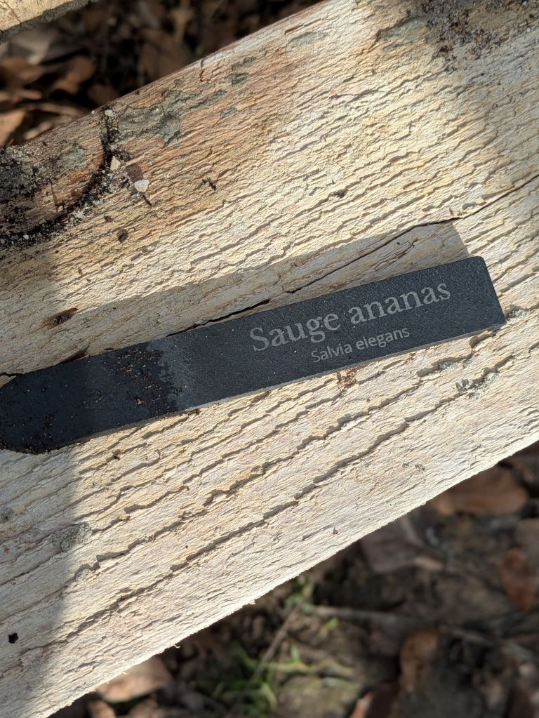 Etiquette en ardoise