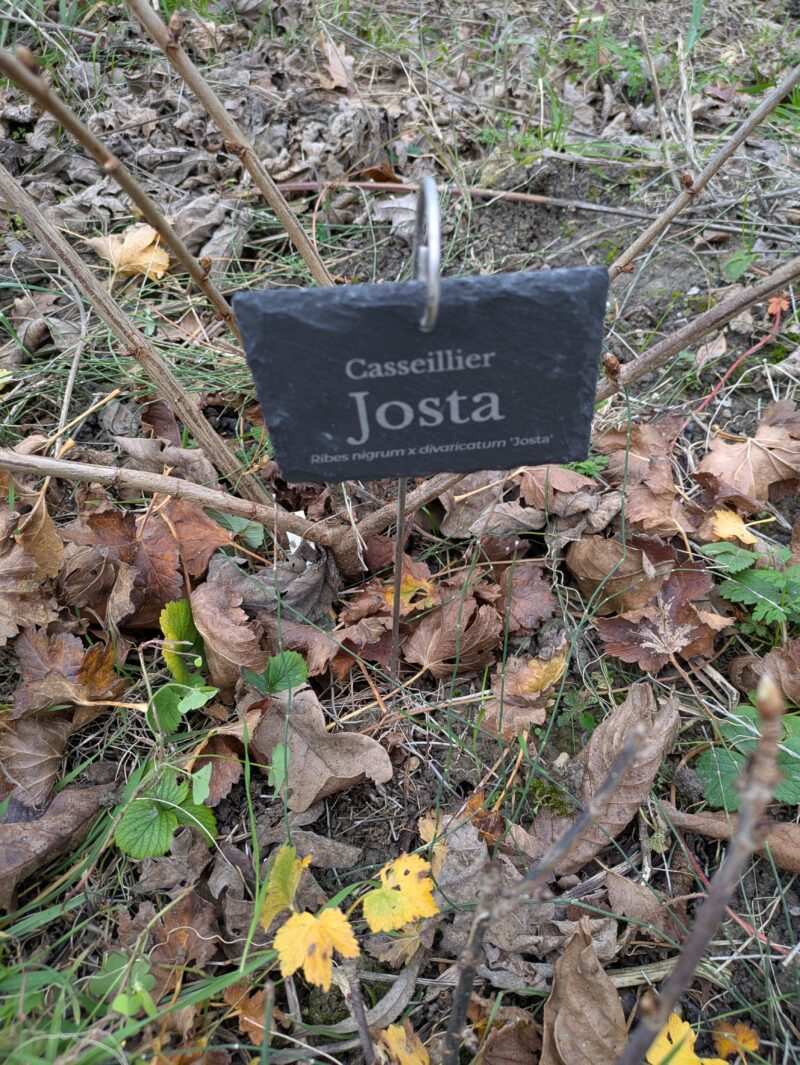 Etiquette en ardoise à suspendre